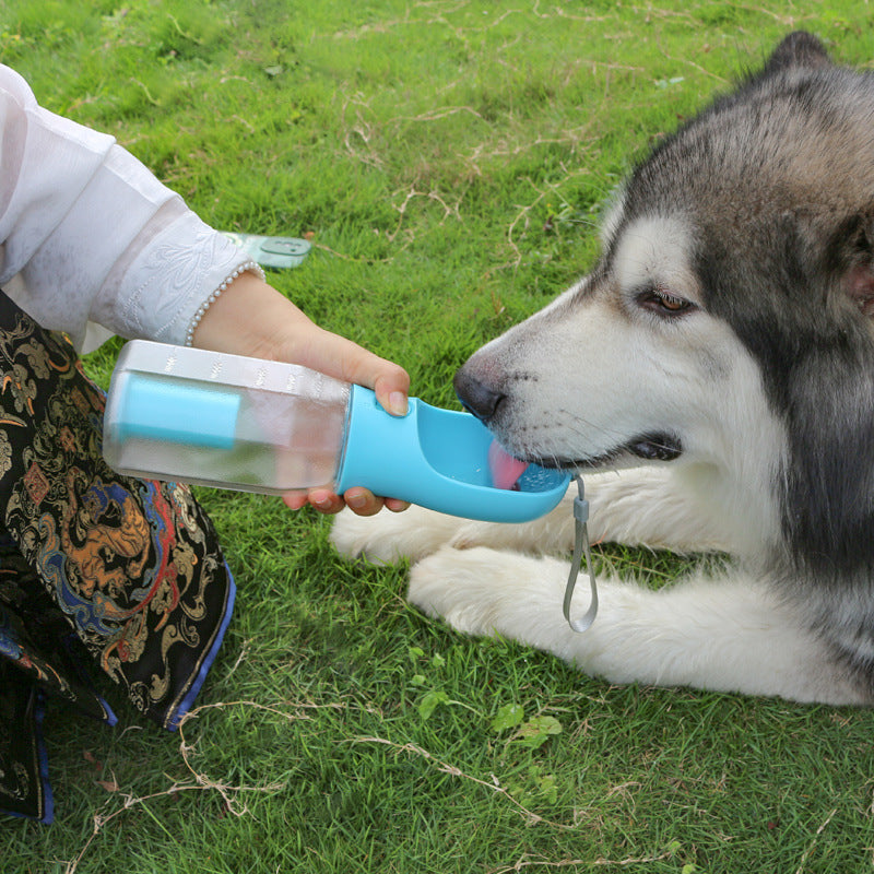 Tragbarer Wasserspender für Hunde